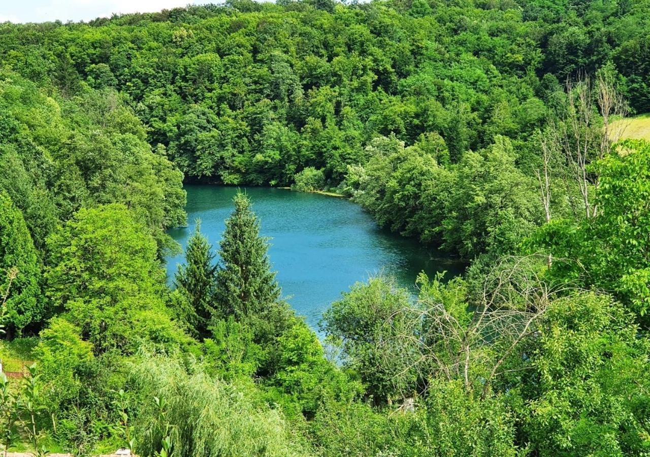 Eden Gornji Zvecaj